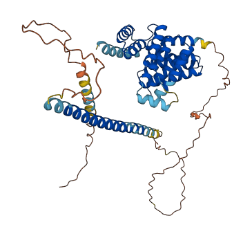 RMDN3 3D structure