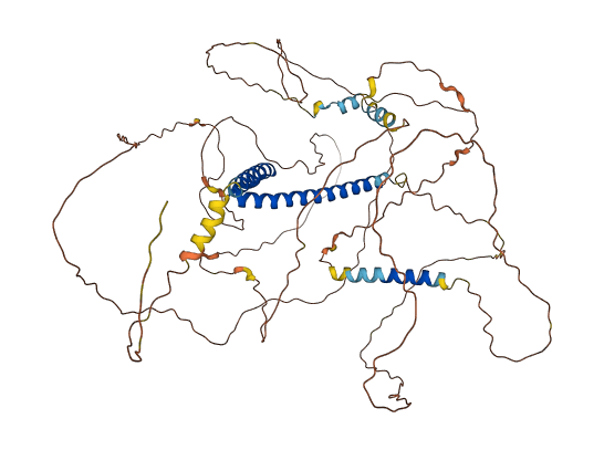 TCF12 3D structure