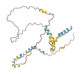 AMELY 3D structure