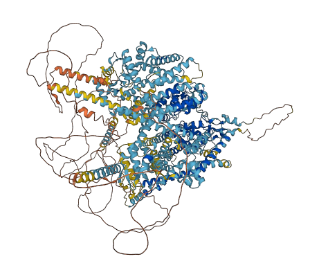 SCN2A 3D structure
