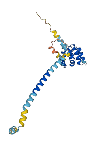 Csprs 3D structure