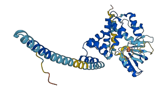 CYTH2 3D structure