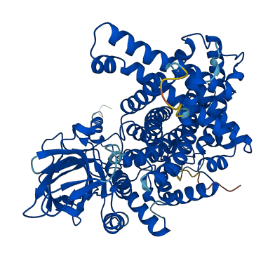 ACOX2 3D structure