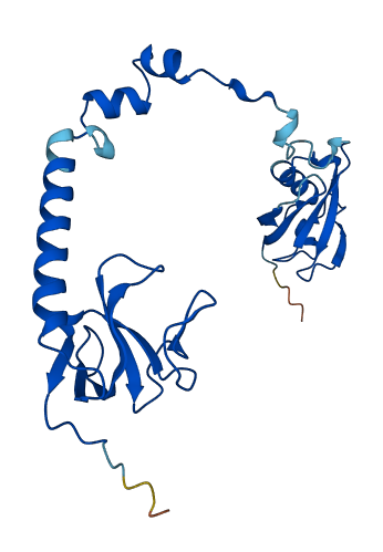 TBCB 3D structure