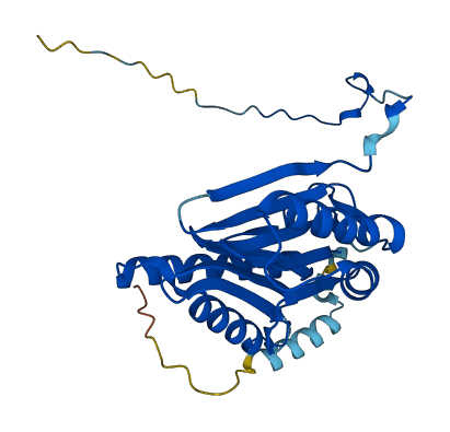 PSMB7 3D structure