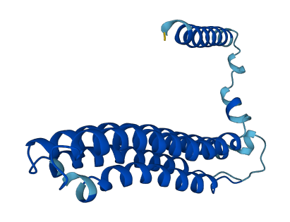 ATP6V0B 3D structure