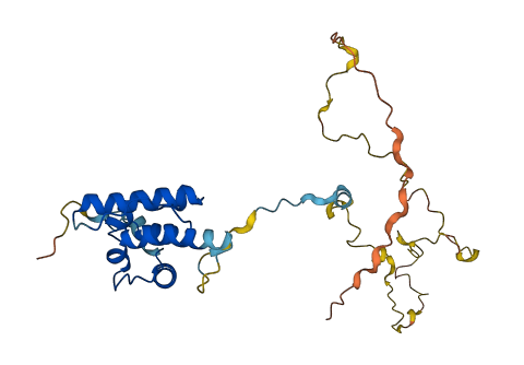CNN2 3D structure