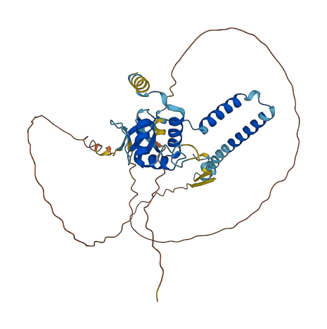 SEC62 3D structure