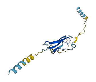 GML 3D structure