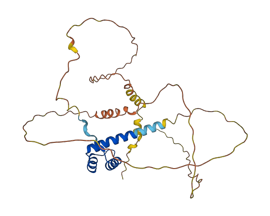 PHOX2B 3D structure