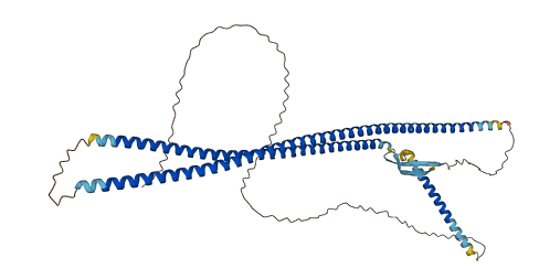 KRT12 3D structure
