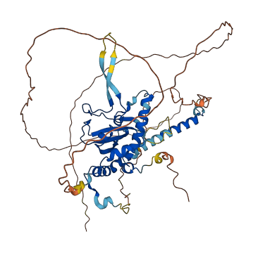 NAP1L3 3D structure