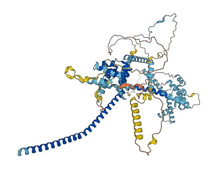 CDC5L 3D structure