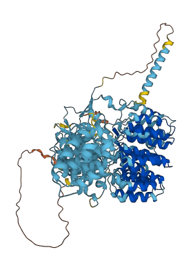 PSMD1 3D structure