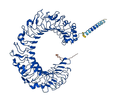 CD180 3D structure