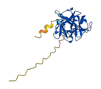 SDF2 3D structure