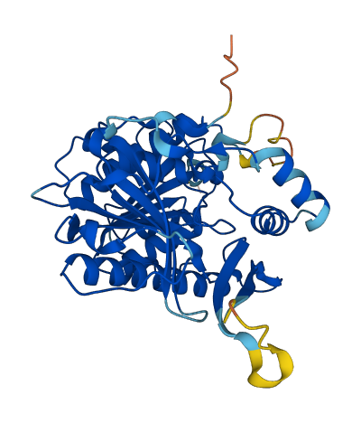 PAFAH2 3D structure