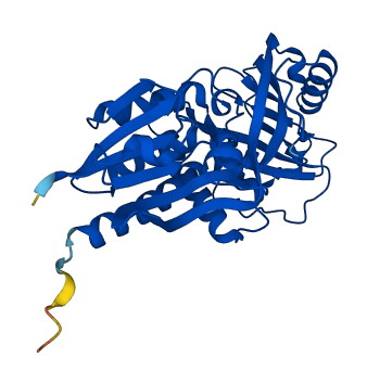 DDO 3D structure