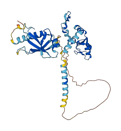 RNF2 3D structure