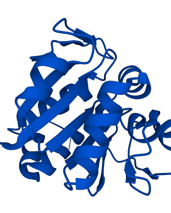 PARK7 3D structure