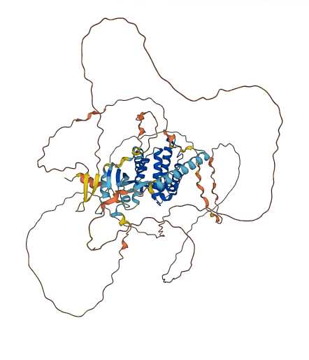 GAS2L1 3D structure