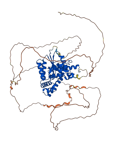 EYA1 3D structure