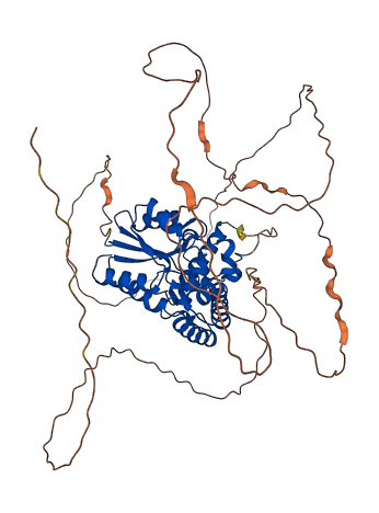 EYA3 3D structure
