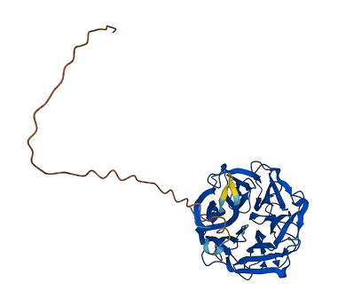 NEU1 3D structure