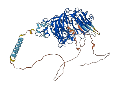 SORT1 3D structure