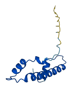 HIST1H4G 3D structure