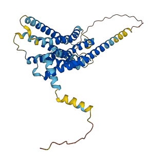 GPER1 3D structure