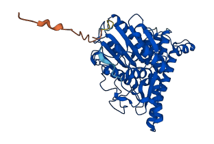 LGMN 3D structure