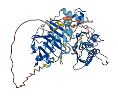 MMP19 3D structure