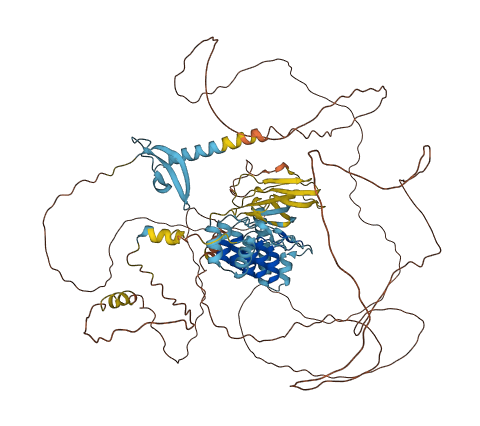 MPHOSPH8 3D structure