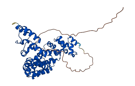 MTERF1 3D structure