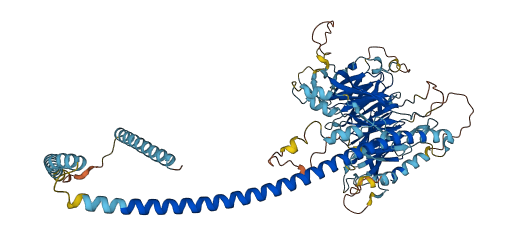 NUP88 3D structure
