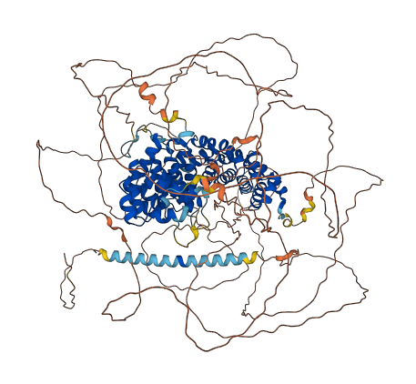 PKP4 3D structure