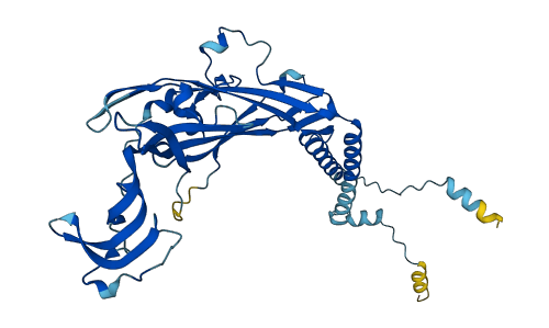 P2RX4 3D structure