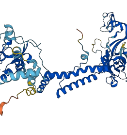 P2RX7 3D structure