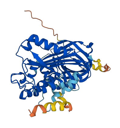 SERPINI1 3D structure