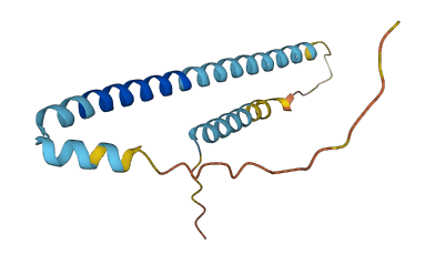 TSC22D3 3D structure