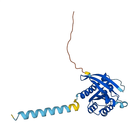 RIT2 3D structure