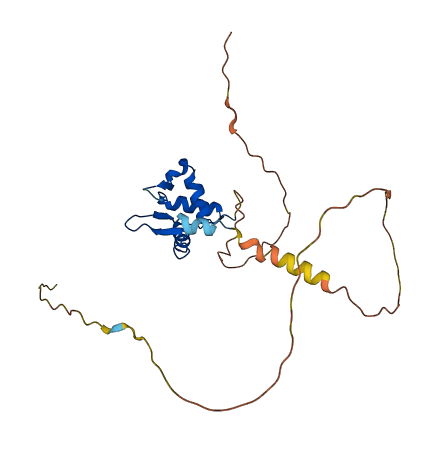 FEV 3D structure