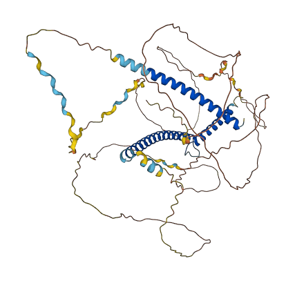 MNT 3D structure