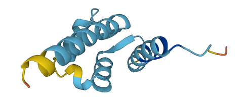 S100A13 3D structure