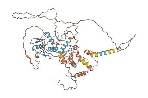 ZBTB18 3D structure