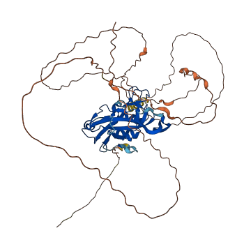 TBX5 3D structure