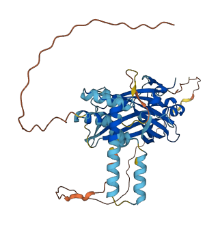TEAD3 3D structure