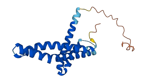 TIMM17A 3D structure