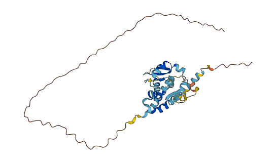 NDN 3D structure